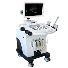 DW370 Full digital medical diagnostic ultrasound equipment